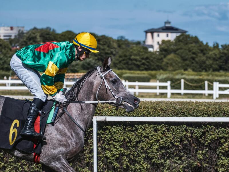 Taloyhtiön Laina: Opas Taloyhtiön Remonttiin Ja Rahoitusvaihtoehtoihin